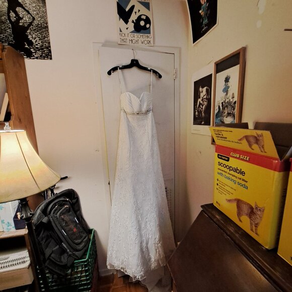 David's Bridal Wedding Dress - Picture 3 of 4